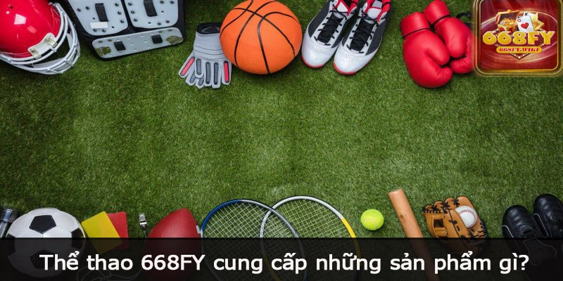 Thể thao 668FY cung cấp những sản phẩm gì?